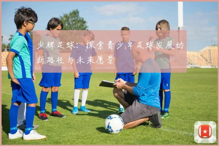 少辉足球：探索青少年足球发展的新路径与未来愿景