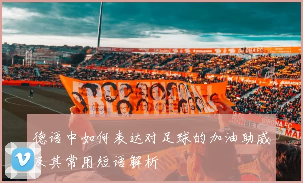 德语中如何表达对足球的加油助威及其常用短语解析