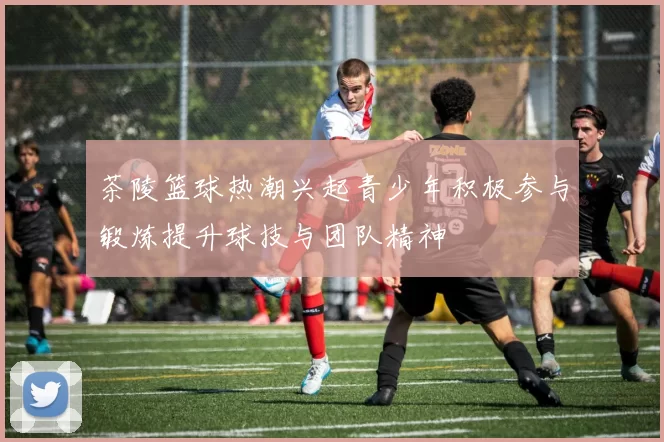 茶陵篮球热潮兴起青少年积极参与锻炼提升球技与团队精神